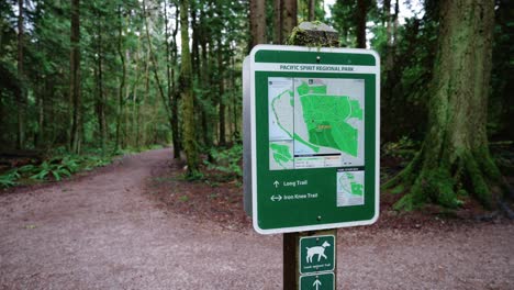 Pacific-Northwest,-Pacific-Spirit-Regional-Park-in-Vancouver,-British-Columbia-Beautiful-forest-trees-clip