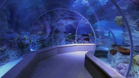 a view through an underwater tunnel in an aquarium