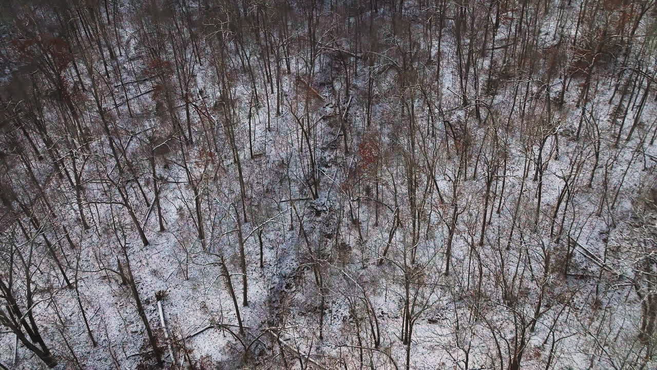 monte sequoia, arkansas, con árboles polvorientos en la nieve, vista desde el aire