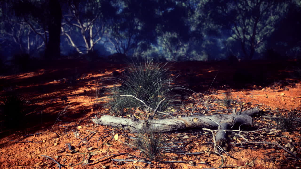 paisaje natural con troncos caídos y hierbas nativas en un entorno forestal