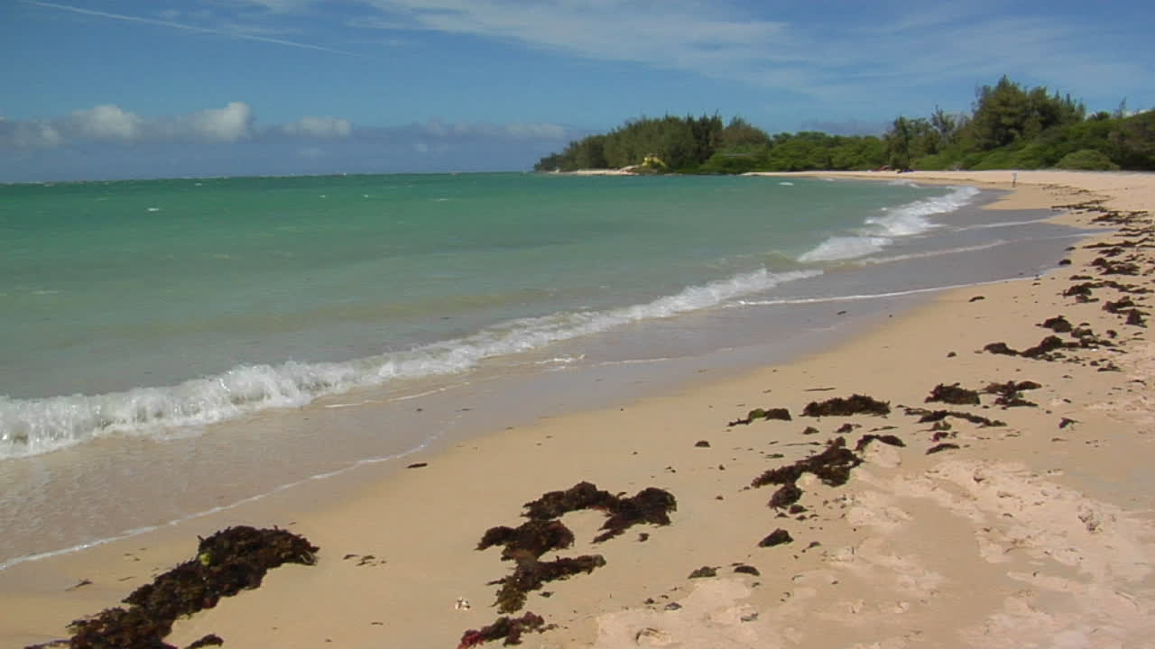 Onde si infrangono su una splendida spiaggia di sabbia bianca nelle Hawaii 2
