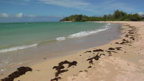 las olas llegan a una hermosa playa de arena blanca en hawaii 2