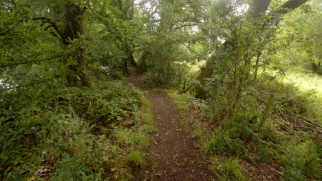 Wide-shot-of-countryside-footpath-around-Sparham-Pools,-Nature-reserve