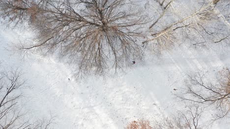 aerial top down, person walking alone on snow covered forest path
