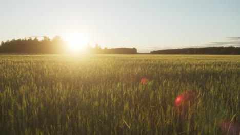 artsy video using lens flares and small slow motion