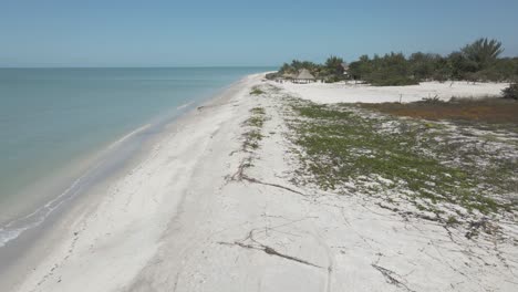 Video-Aéreo-De-Un-Hombre-Caminando-En-La-Playa-En-Isla-Aguada,-México-Durante-Un-Día-Soleado