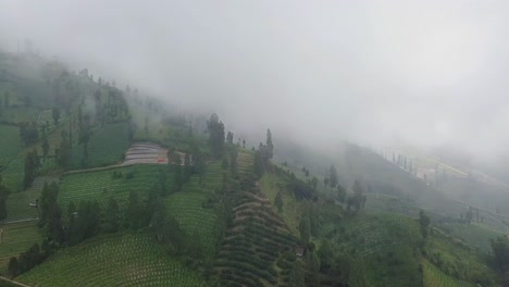 Drone-shot-slope-of-mountain-shrouded-by-thick-fog