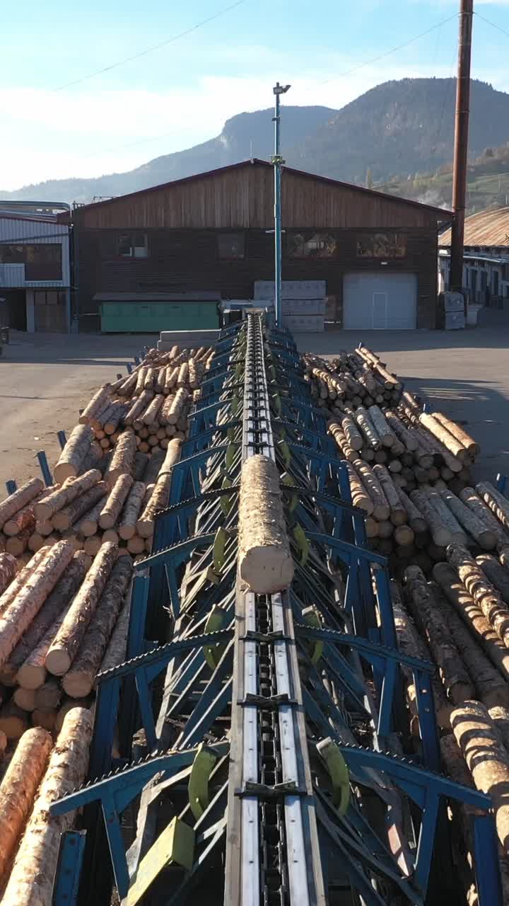 Automated machinery at a sawmill sorts raw timber logs. A mechanical arm pushes wood onto a conveyor system for processing, showcasing the efficiency of the modern timber industry. Vertical shot