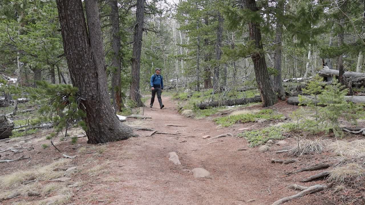 Lone male hiker walking along a remote trail towards the camera. Filmed in Staunton State Park during the spring.