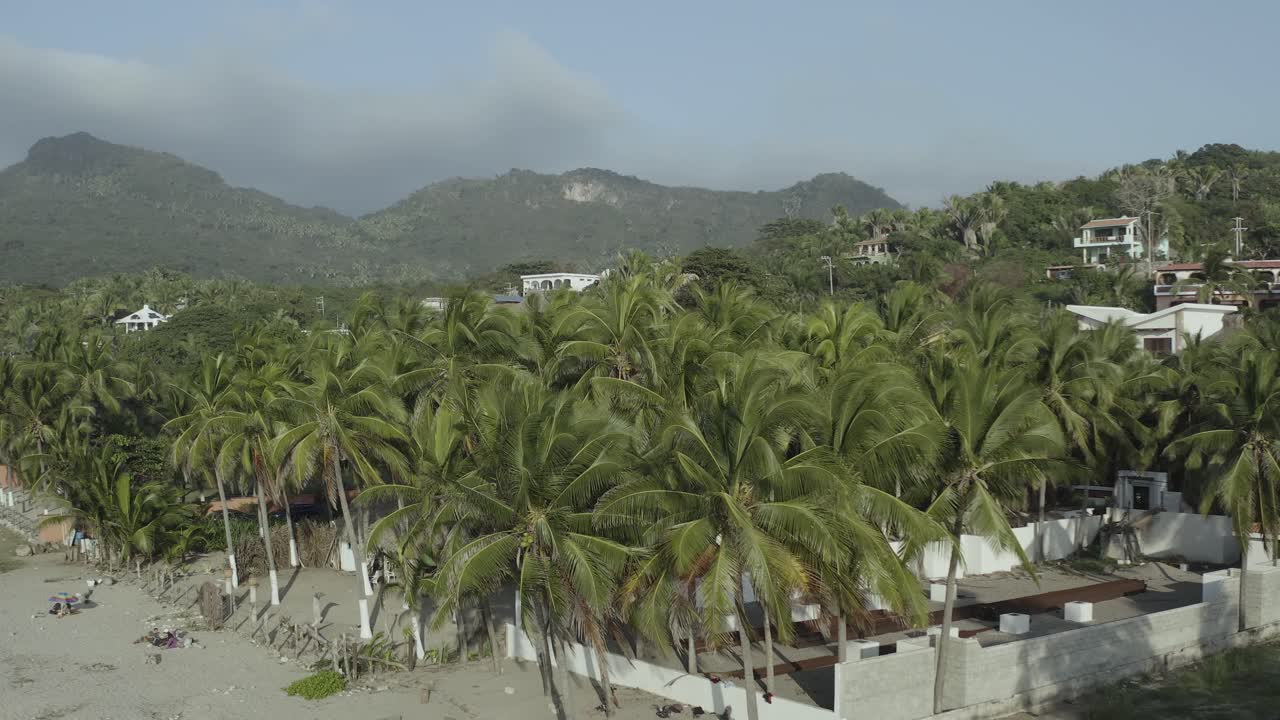 vista cercana de las cabezas de las palmeras - hermosa playa que revela la vista por drones