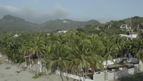 Vista-Cercana-De-Las-Cabezas-De-Las-Palmeras---Hermosa-Playa-Que-Revela-La-Vista-Por-Drones