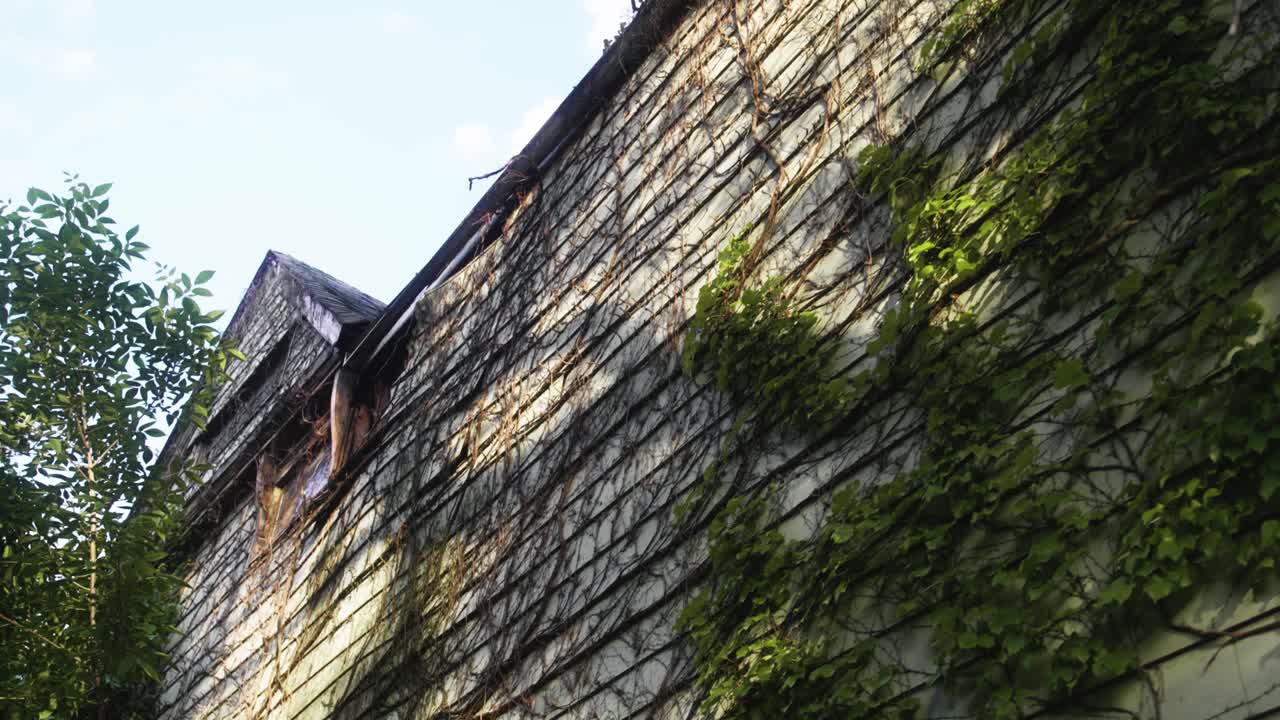 시카고 빌딩의 이끼 낀 쪽