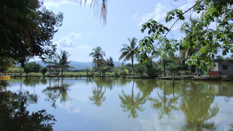 Hermoso-Puente-De-Bambú-En-El-Lago-Nublado