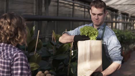 caucásico, vendedor alto con delantal verde está poniendo ensalada fresca, zanahorias en bolsa de papel al cliente en el mercado de invernadero. hombre sonriente vendiendo verduras a la cliente femenina. gente y concepto de estilo de vida saludable
