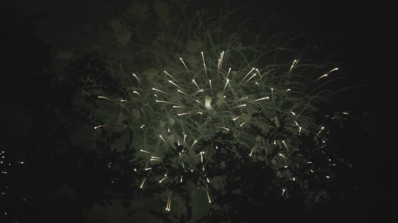 Fuochi d'artificio al rallentatore durante la notte di Capodanno 2019