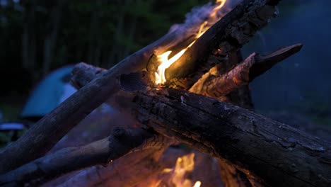 flames dancing as firewood is burning at a camping ground in the forest of bulgaria