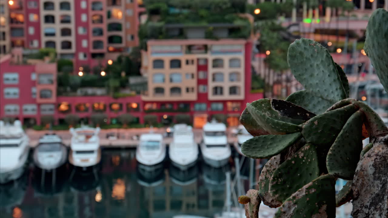 View of boats docked in the Port de Fontvieille with the skyline of Monaco on the background in the evening