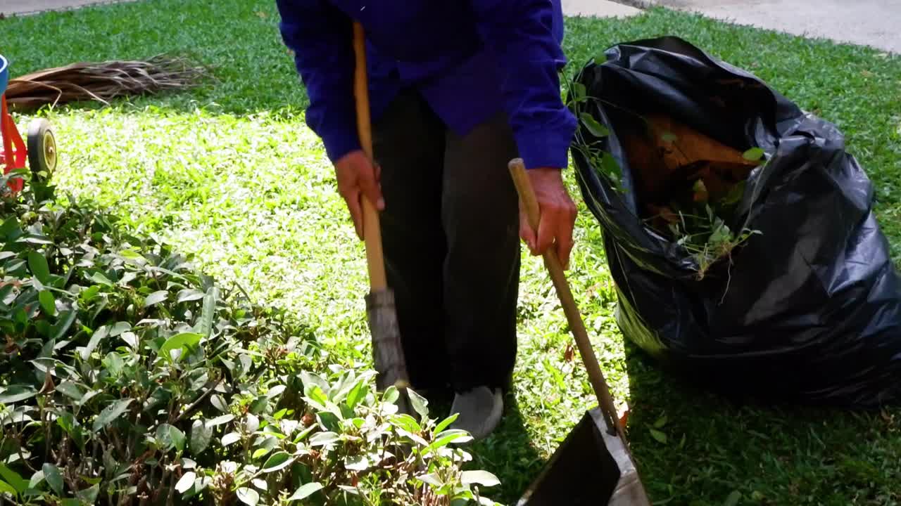 Person gathering and bagging leaves in garden