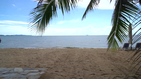 palmeras y playa tropical en pattaya en tailandia