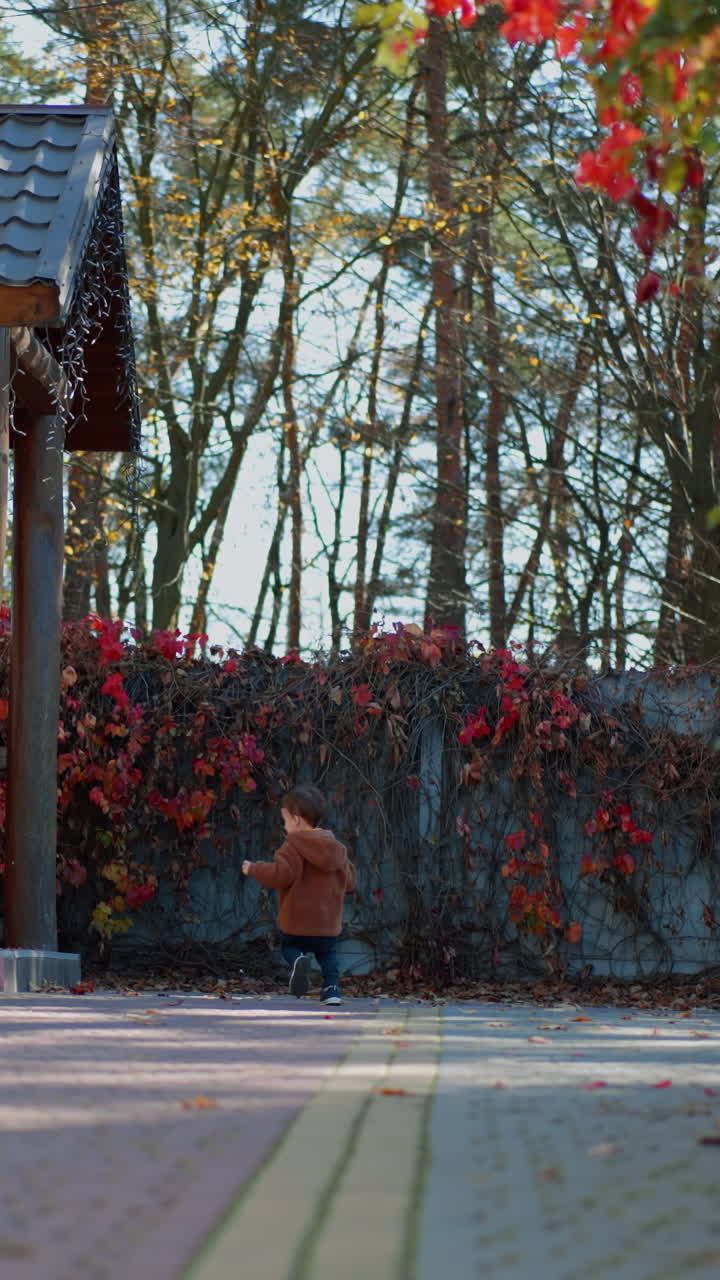 Rear view of an energetic toddler running outdoors in autumn. Baby boy runs up to the house porch. Vertical video
