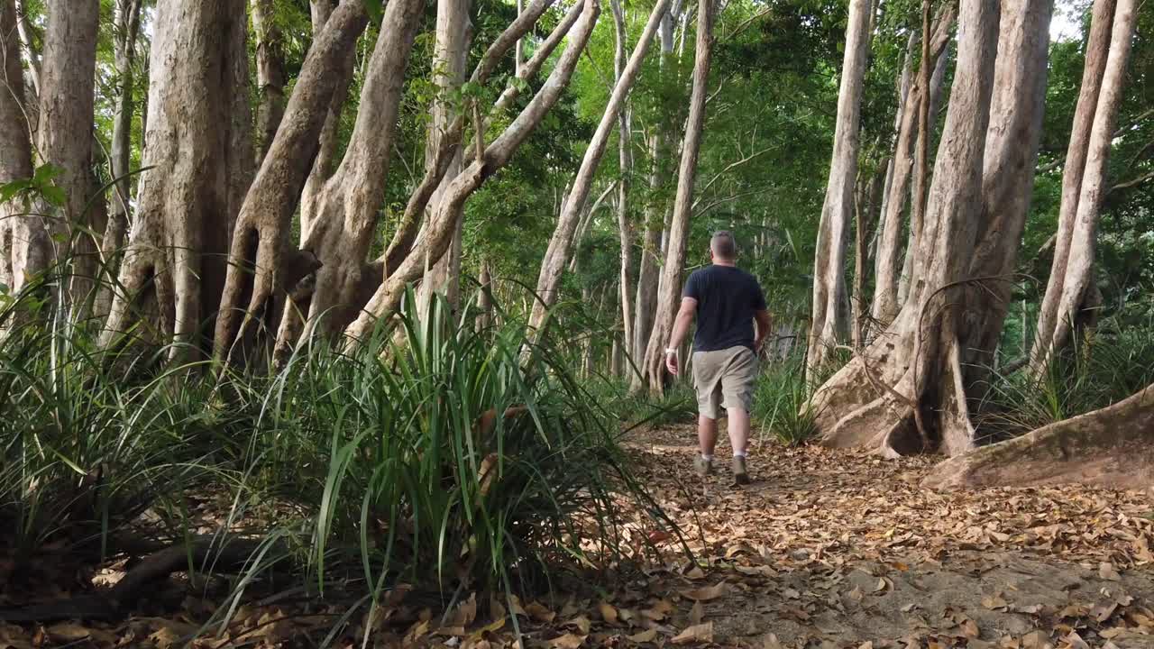 hombre caminando por un camino de arbusto entre los árboles por la tarde