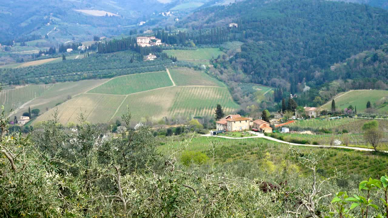 아름다운 푸른 언덕과 함께 전형적인 토스카니아 풍경