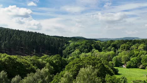 drone taking off from field and moving forward in flight over treetops on clear sunny day, revealing countryside horizon