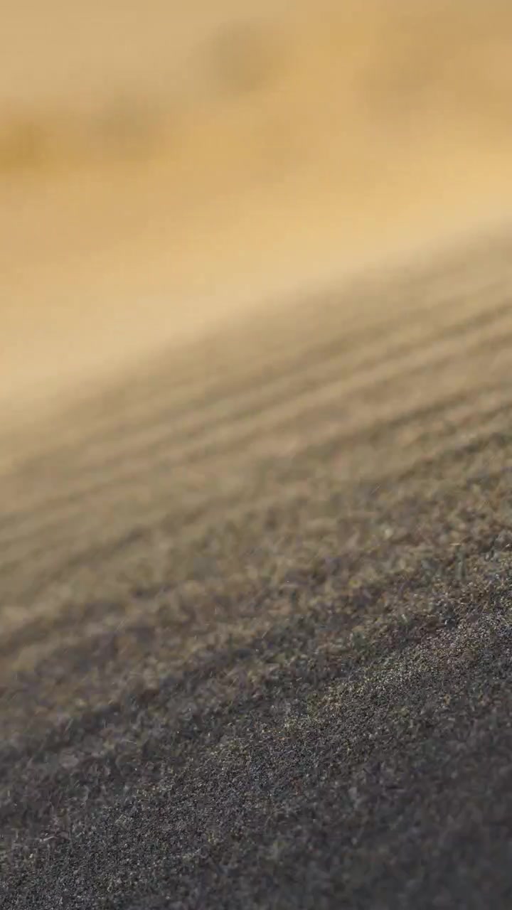 Fine dark sand texture with shallow depth of field, close up view of wind shaped beach surface creating abstract natural pattern.