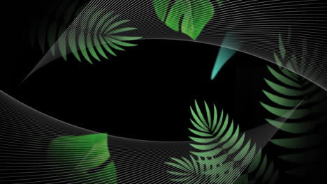 animation of white curved lines, with green leaves moving on black background