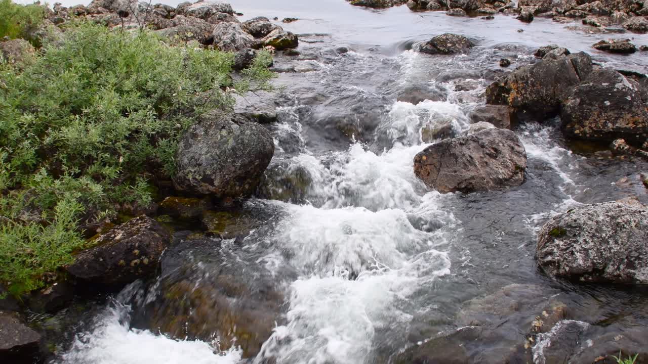 Acqua naturale potabile delle rapide di un fiume nella Lapponia finlandese vicino a Kilpisjärvi.