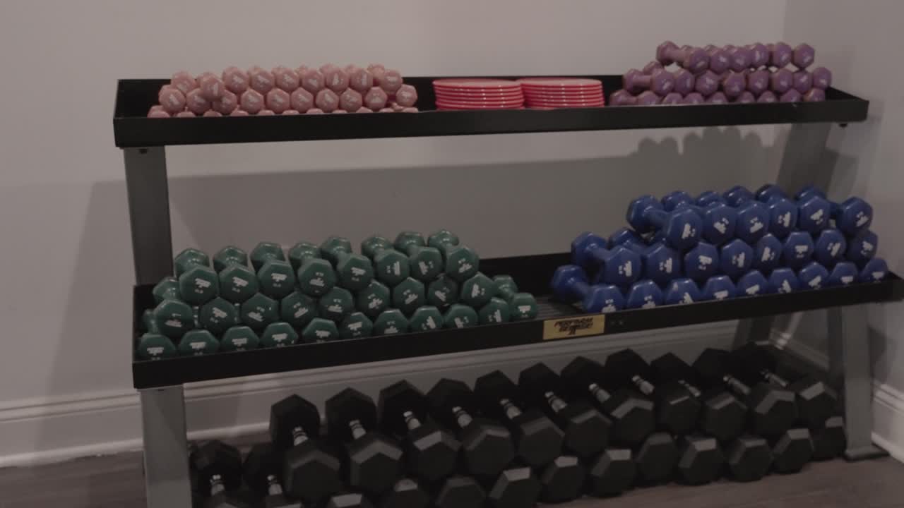 Una collezione di manubri dai colori vivaci e di vari pesi è ordinatamente disposta su una rastrelliera in palestra