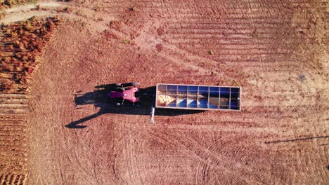 Top-down-aerial-of-farm-tractor-with-open-trailer-of-non-gmo-soybeans-in-Abbeville,-Georgia,-USA