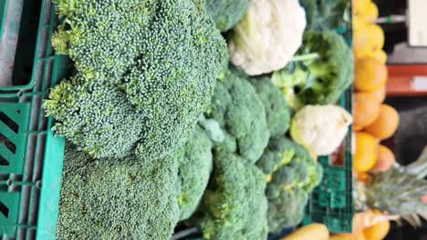 fresh broccoli and cauliflower displayed in a market