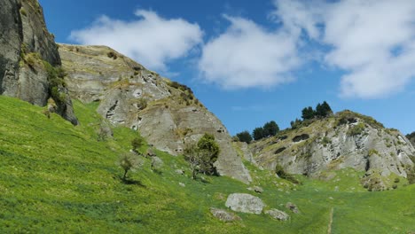 Acantilados-Rocosos-En-La-Hermosa-Y-Serena-Campiña-De-Nueva-Zelanda---Toma-Panorámica-Del-Mediodía