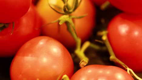 close-up views of ripe tomatoes at a market, showcasing vivid colors and natural textures under warm lighting