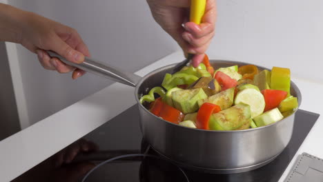 cocinar un plato vegetariano casero