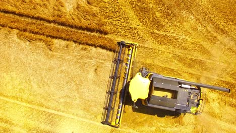 vista aérea de la cosechadora combinada. cosecha de un campo de trigo. antecedentes industriales sobre el tema agrícola. biocombustibles y producción de alimentos desde arriba. agricultura y medio ambiente en la unión europea.
