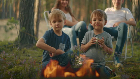 two boys 3-6 years together fry on fire marshmallows on sticks against the background of parents. family hike in the woods with a tent. family in nature on a hike