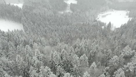 flying over forest, beautiful snowy mountains, kohutka, czech republic