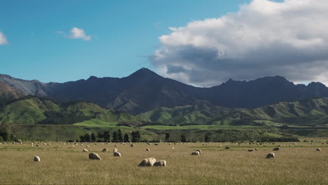 ovejas pastando junto a una hermosa montaña con cielo azul y nubes dispersas