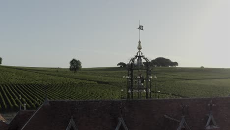 château angelus castle and vineyards in saint-émilion, france. aerial drone lateral view