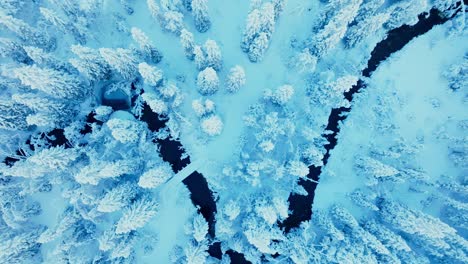 overhead view of forest and river covered in dense snow during wintertime