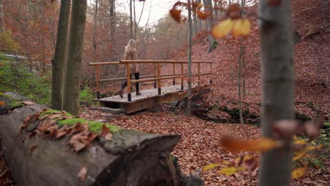 uma garota com um vestido gasto atravessa a moldura e atravessa uma pequena ponte na floresta