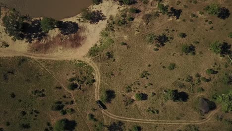 Ein-Drohnenflug-Einer-Elefantenherde-Im-Afrikanischen-Busch-In-Der-Hitze-Der-Afrikanischen-Sonne,-Während-Ein-Safarifahrzeug-Zuschaut