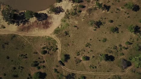 a drone of a herd of elephants in the african bush in the heat of the african sun as a safari vehicles watches on