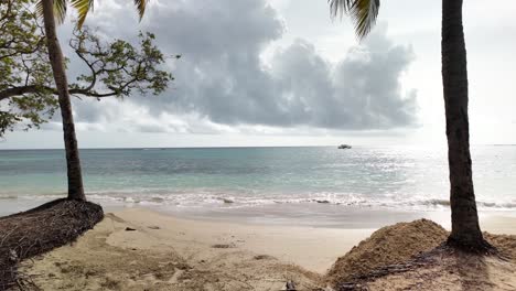 waves on beach in ocho rios jamaica with coconut tress