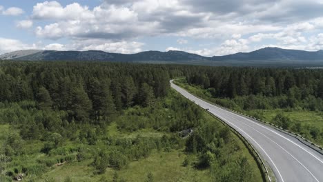 scenic mountain road through forest