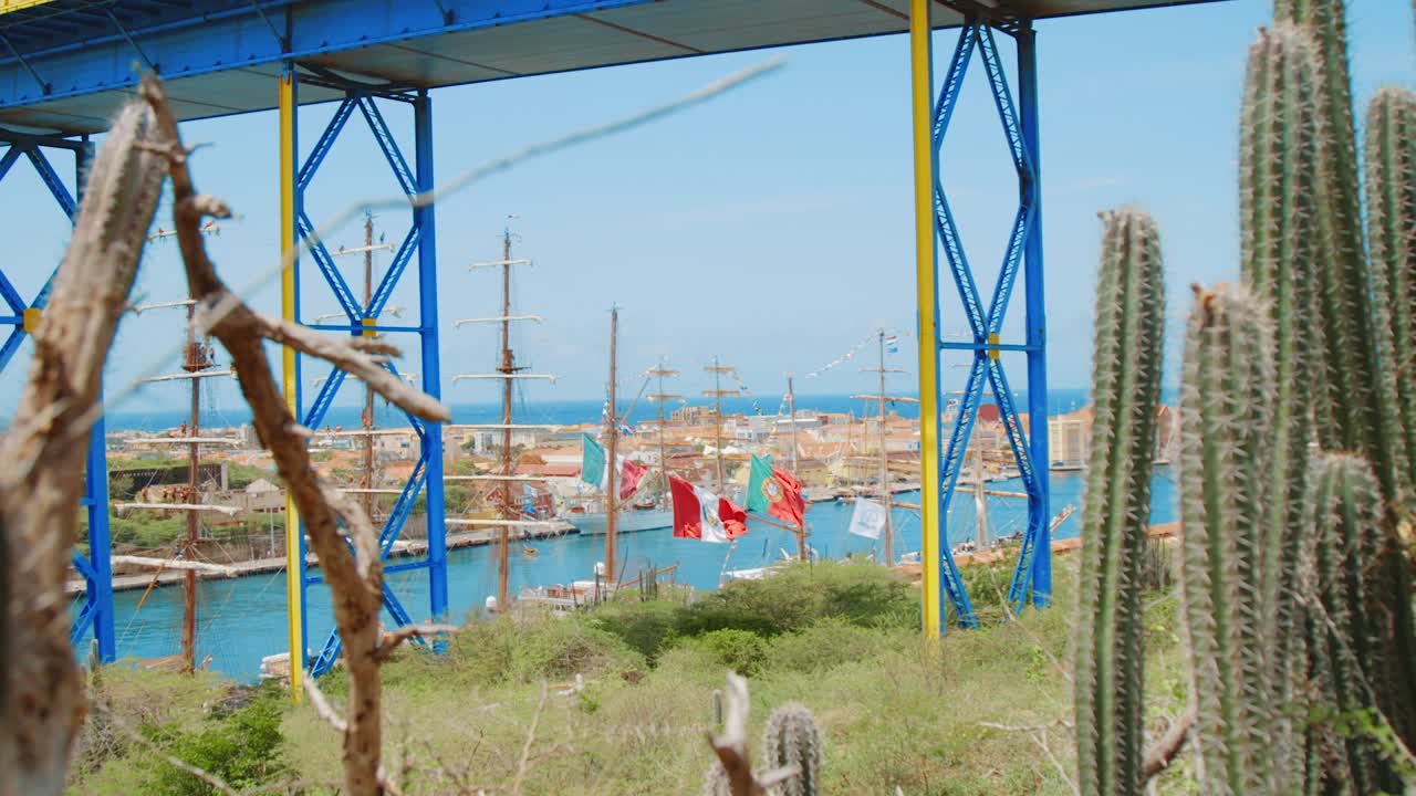 панорамирование мимо кактусов на переднем плане, чтобы показать регату высоких кораблей, пришвартованных вдоль реки с выходом к морю.