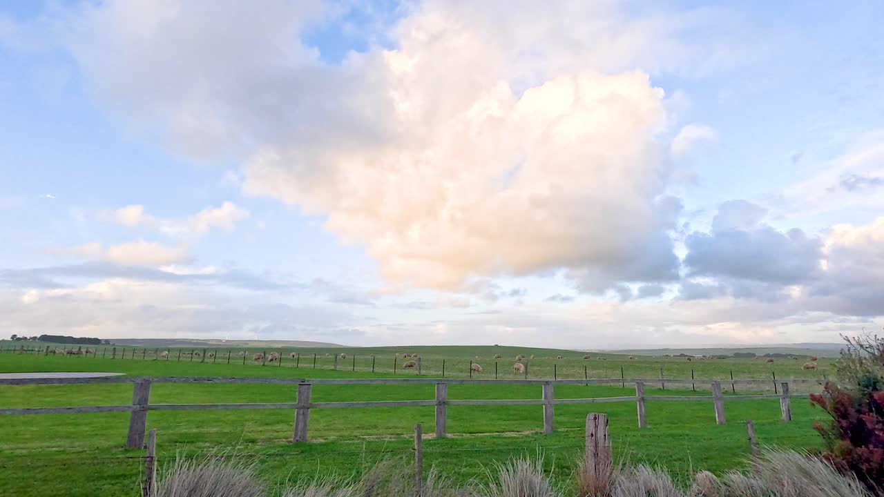 A tranquil scene of a green field under a cloudy sky, captured with gentle camera movement and soft lighting