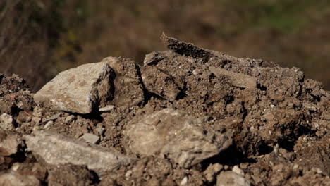 piedras sucias de la excavación